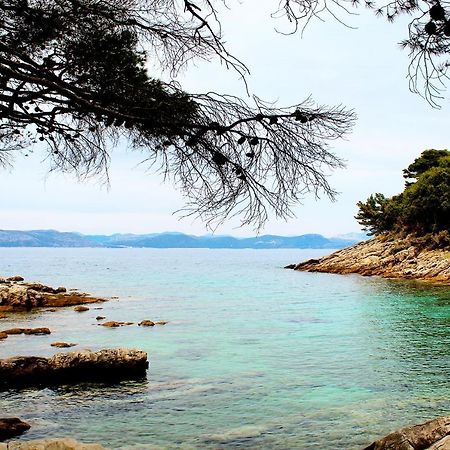 Apartment Marija Mljet 4 Sobra Zewnętrze zdjęcie